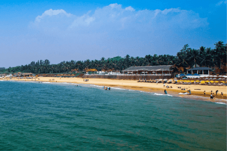 South Goa Tour with Dudhsagar & Grand Island
