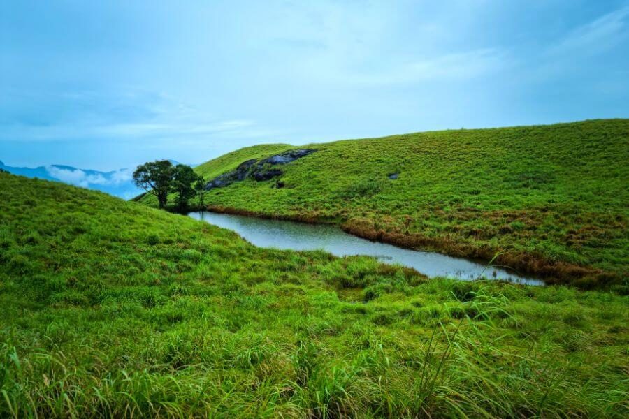 2 Nights 3 Days Wayanad Tour