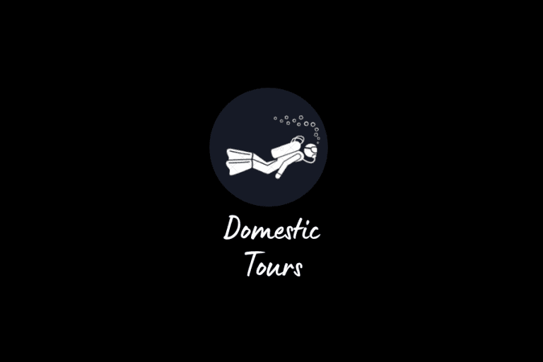 Domestic Tours